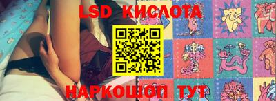 прущие грибы Бийск