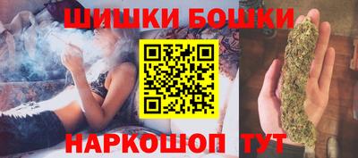 прущие грибы Бийск