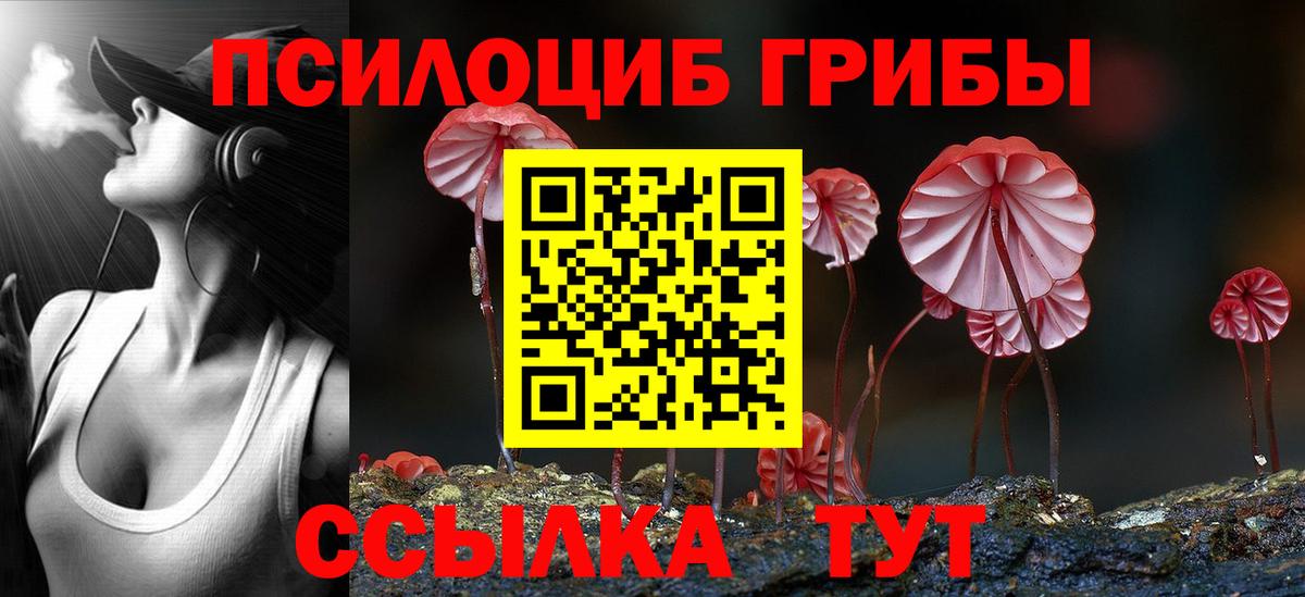 Ижевск  Псилоцибиновые грибы Cubensis  Вход с VPN  Галлюциногенные грибы прущие грибы 
