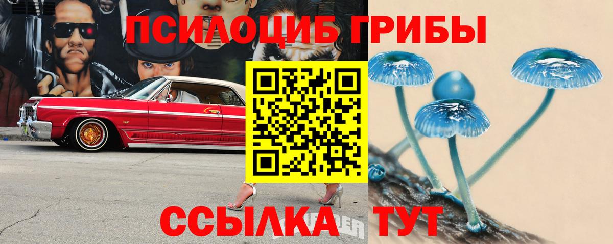 Галлюциногенные грибы Psilocybine cubensis Ижевск